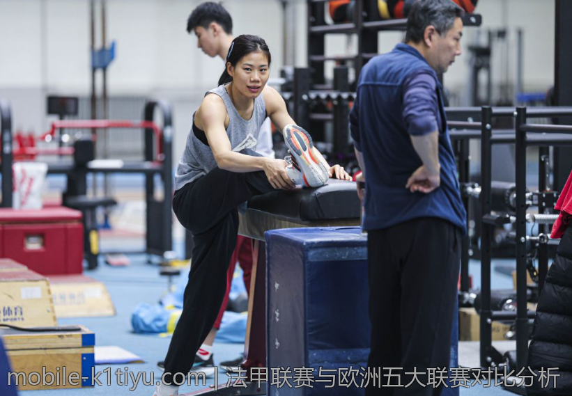 法甲联赛与欧洲五大联赛对比分析