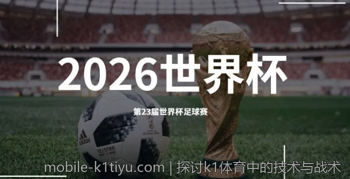 探讨k1体育中的技术与战术